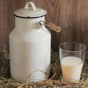 milk can, glass, milk, glass of milk, drink, fresh, yummy, healthy, food, strengthening, straw, milk, milk, milk, milk, milk