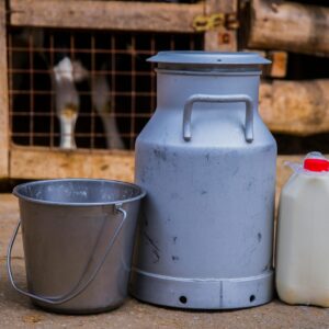 Metal milk churn and bucket in a rustic farm setting, showcasing traditional dairy operations.